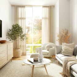 Bright living room with plants and natural light